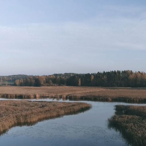 Made in Finland │Niki Newd®