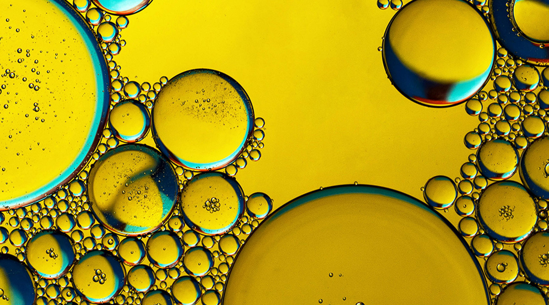 Luxury oil│Niki Newd®